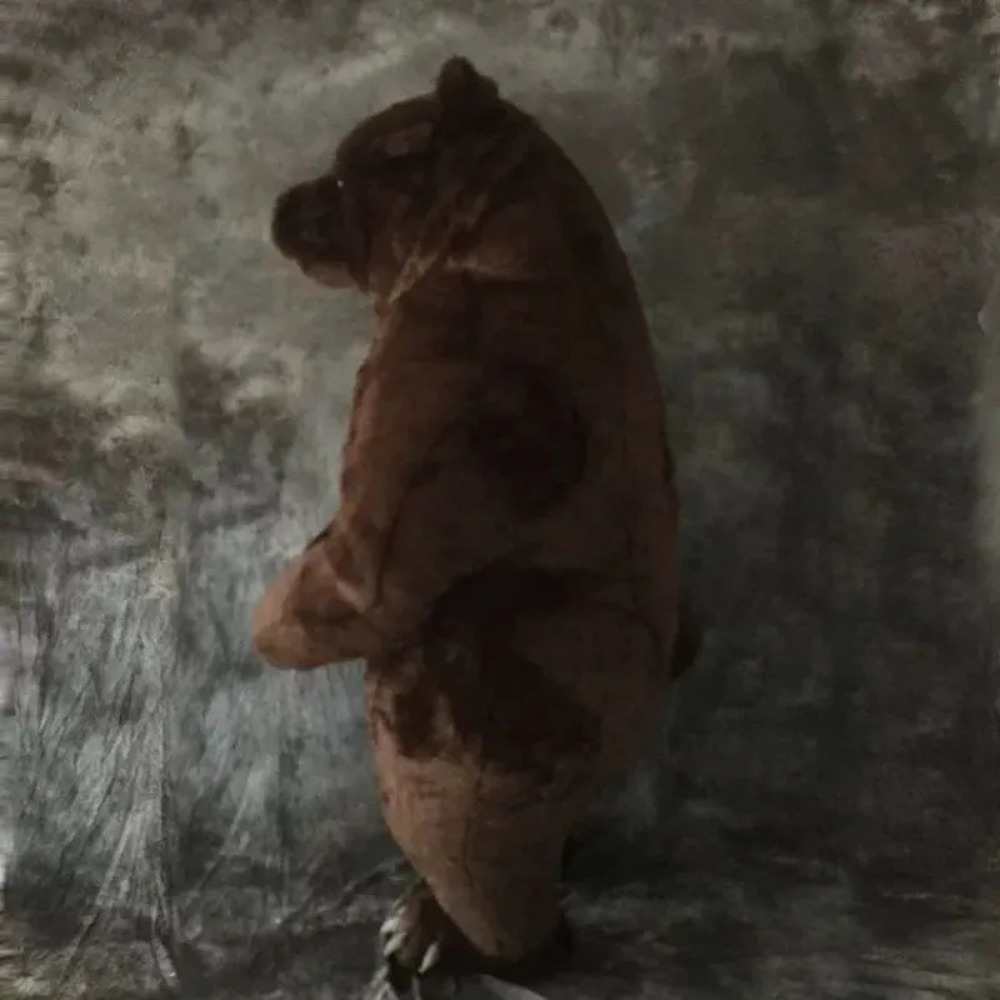 Inflatable Brown Bear Mascot C - огляд і ціна Chargers